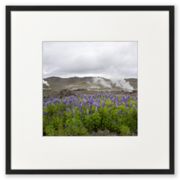 Ron Schoningh fine art print Emptyscape Last standing