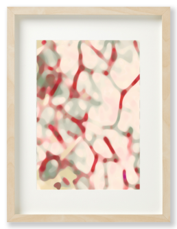 Ron Schoningh fine art print Organic Memories 1