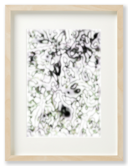 Ron Schoningh fine art print Organic Memories 7